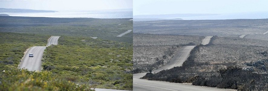 ABC News reveals ‘before & after’ bushfires airier images ...