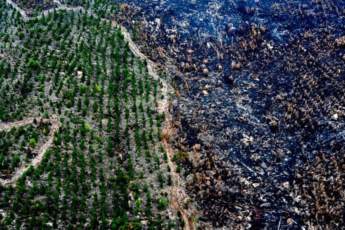ABC News reveals ‘before & after’ bushfires airier images ...