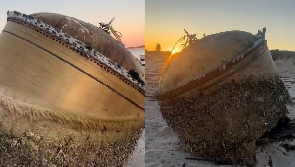 Mysterious dome washes up on Australian beach - Pressmediaofindia