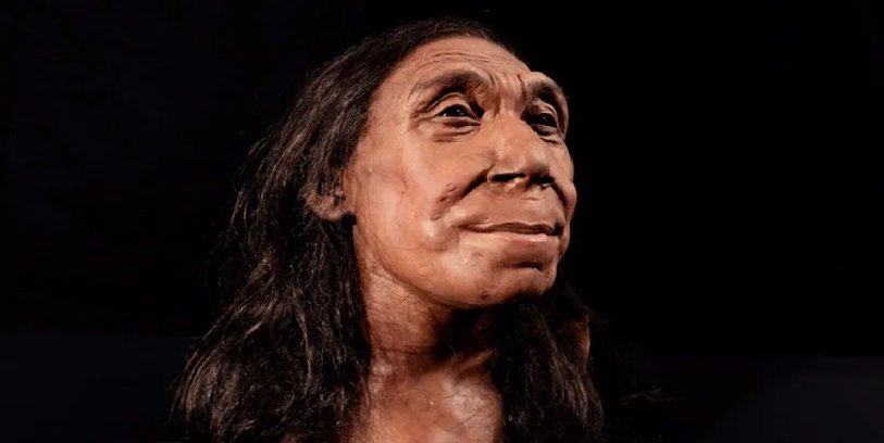 Face Of 75 000 Year Old Neanderthal Woman Revealed Pressmediaofindia