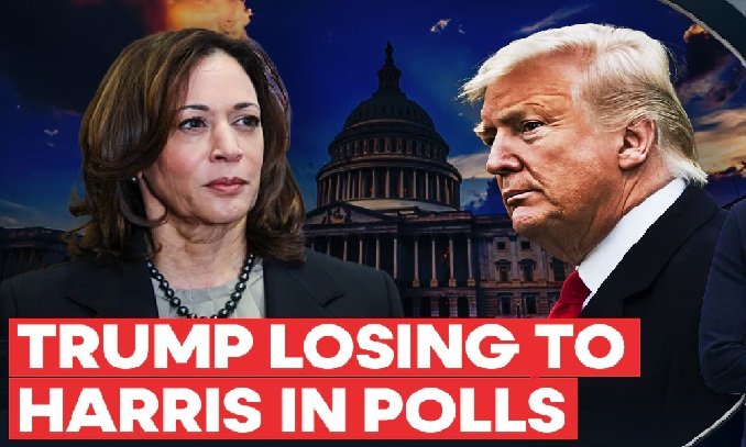Harris leads Trump in three key states - Pressmediaofindia